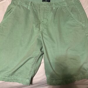 American Eagle Outfitters Light Green Flat Front Shorts